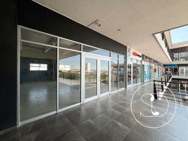 Foto de la galeria de imagenes
